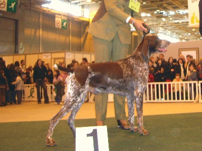 de Champreval - SALON DE L'AGRICULTURE 2008