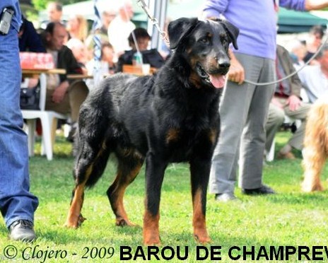 Barou de Champreval
