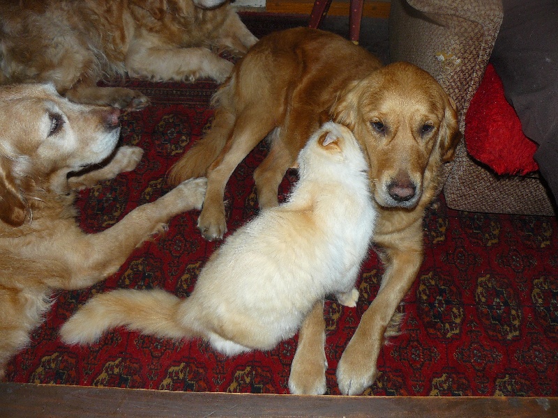 COPAINS AVEC TOUT LE MONDE